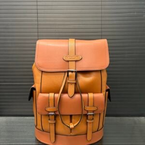 C-Classic backpack, computer bag-152
