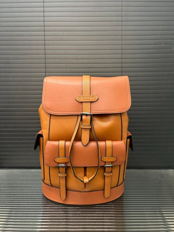 C-Classic backpack, computer bag-152