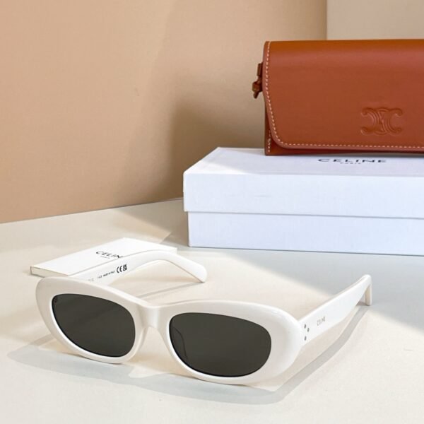 C-Top quality sunglasses-071