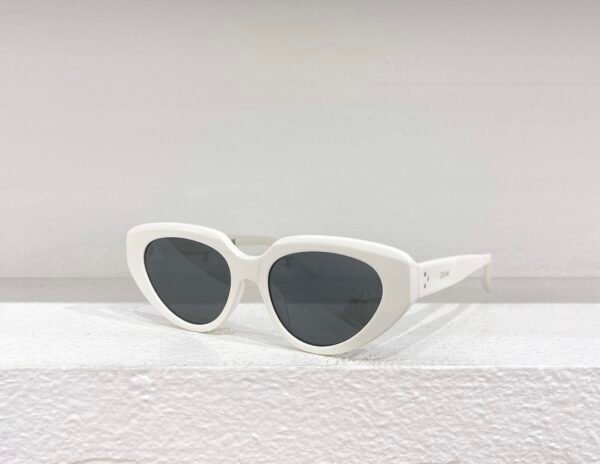C-Top quality sunglasses-077