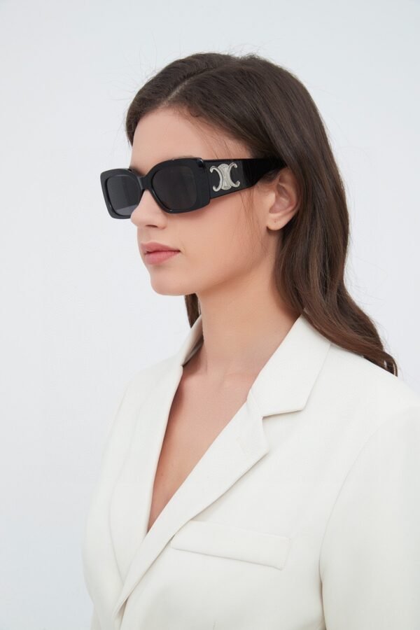 C-Top quality sunglasses-078