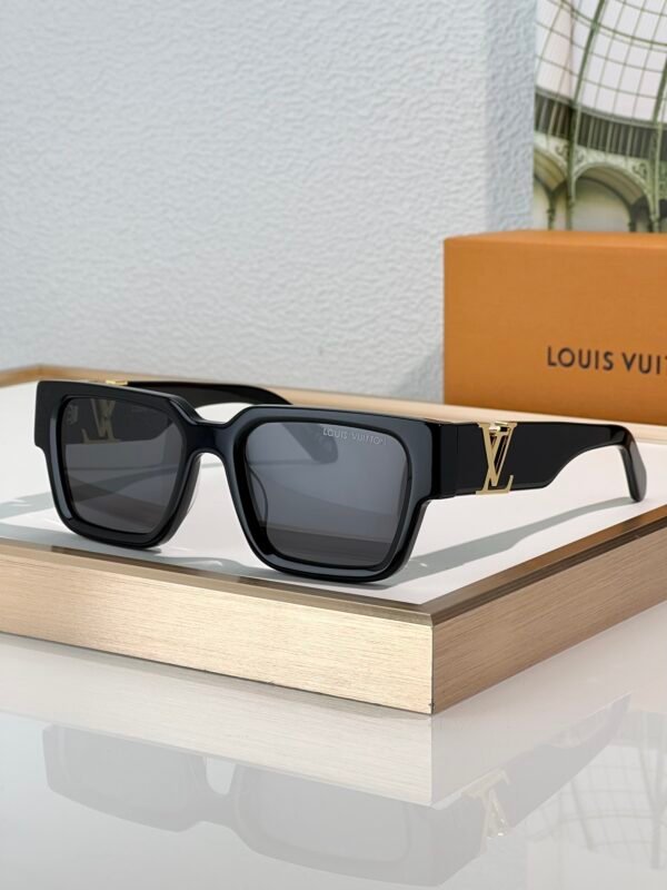 L-Top quality sunglasses--0100
