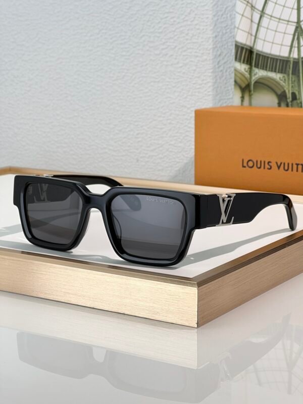 L-Top quality sunglasses--0100 - Image 2
