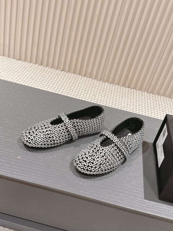 AL-Elegant ballet shoes-3476